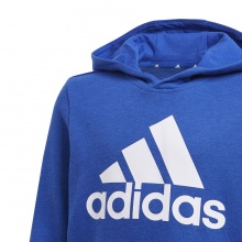 adidas Kapuzenpullover Hoodie Big Logo royalblau Jungen